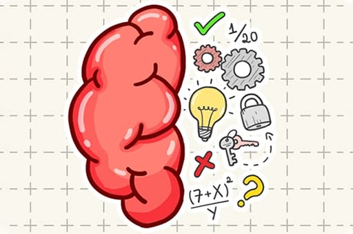 Brain Tricky Puzzles
